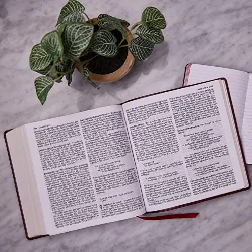 NABRE XL Catholic Bible, Leathersoft, Black view 5