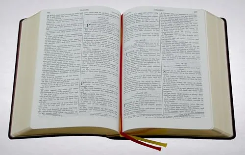 Douay-Rheims Bible, Large Size, Black Leather view 3