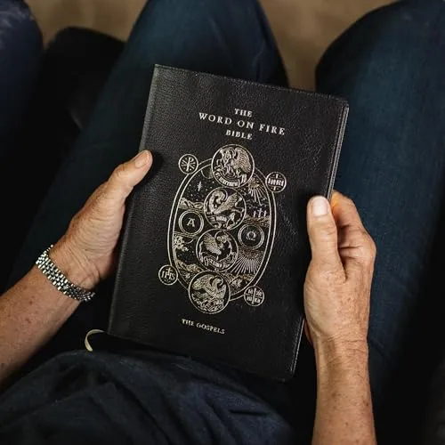 The Word on Fire Bible, Volume I: The Gospels, Leather view 2