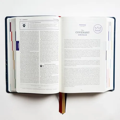 The Great Adventure Catholic Bible, Second Edition view 4