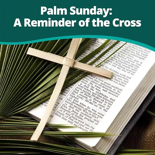 Concordia Supply Large Palm Crosses, 7 x 4.5 in (50) view 5