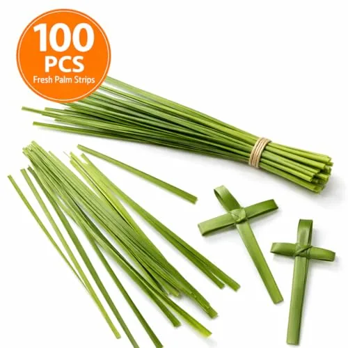 Village Gift Importers Fresh Palm Strips, Bag of 100
