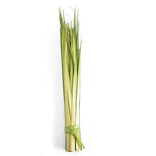 Village Gift Importers Fresh Palm Strips, Bag of 100 view 3